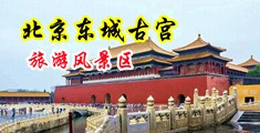 啊鸡巴好大好爽用力插视频中国北京-东城古宫旅游风景区